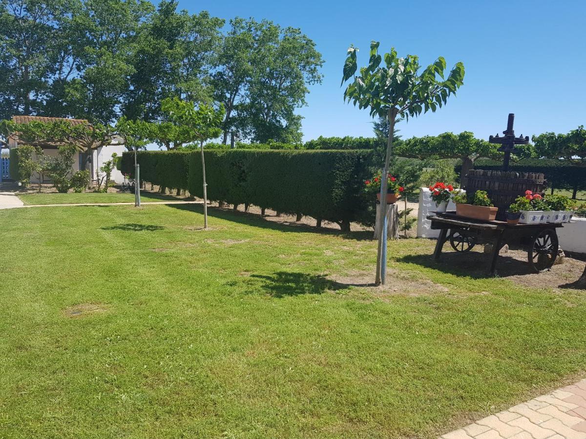 Le Mas De Mon Pere Saintes-Maries-de-La-Mer Exterior foto