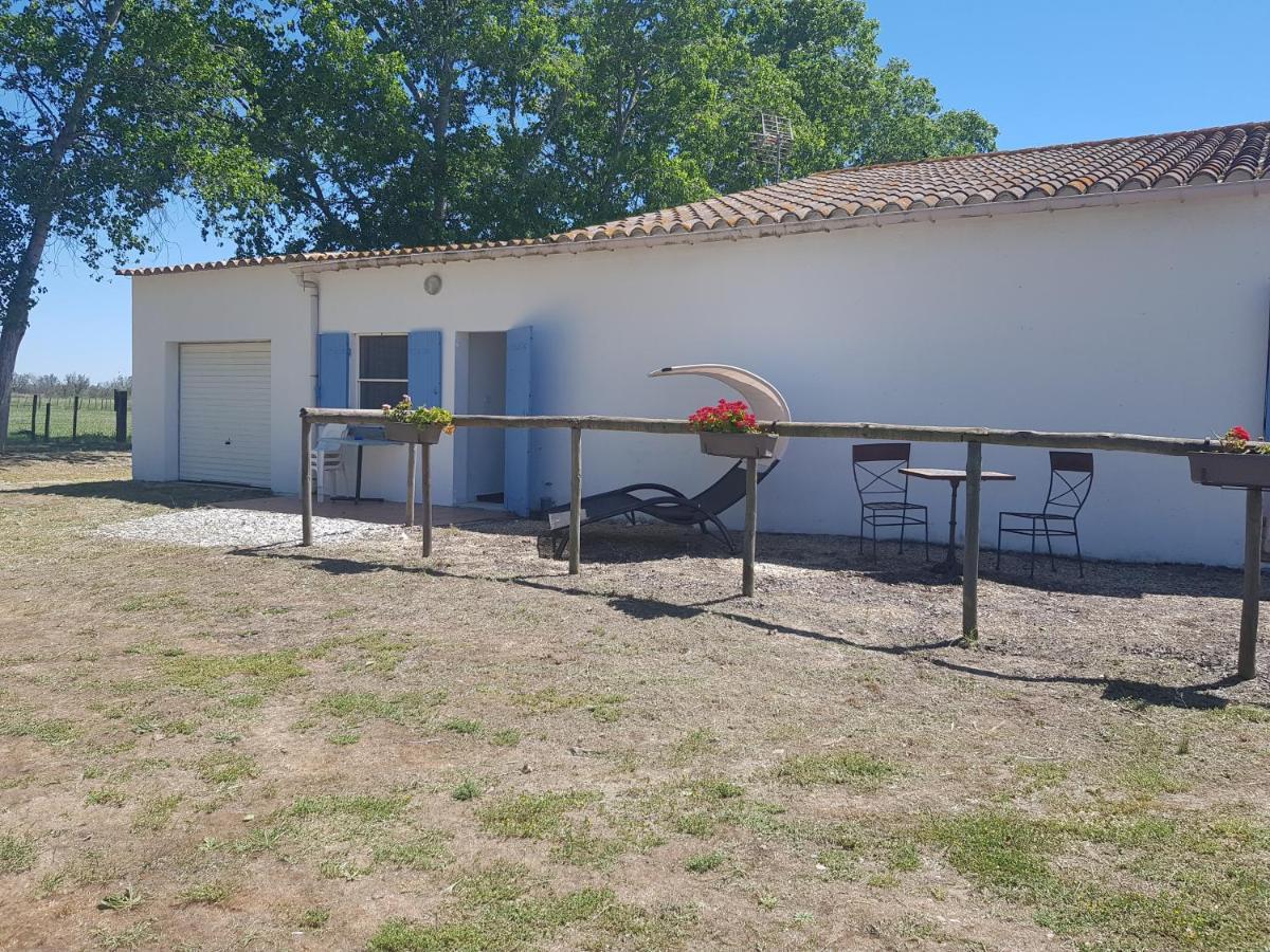 Le Mas De Mon Pere Saintes-Maries-de-La-Mer Exterior foto